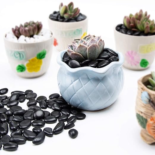 10lb Black Small Decorative Pebbles - Gravel River Rock,Natural Polished Decorative Stones 3/8" Gravel Size,Pebbles Gravel for Bamboo Plants,Succulent,Home Decor,Landscaping,Vase Fillers and More.