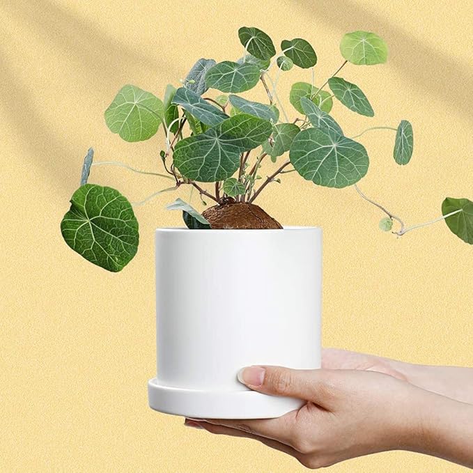 Round 4 Inch Ceramic Plant Saucer Drip Tray Set of 2 for Indoor Small Flower Pots Home Garden Outdoor Flower Plant Pot,White Saucers