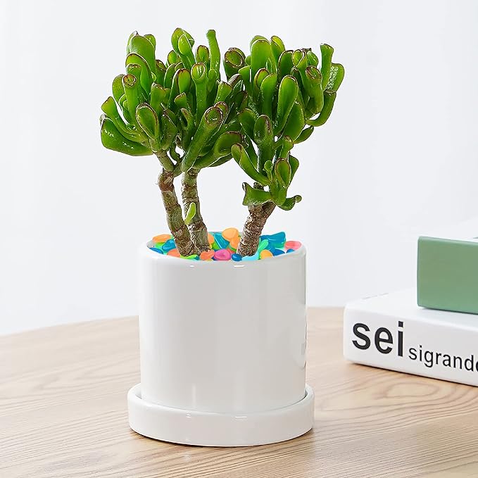 Kaiyuan Dynasty 100Pcs 15-20mm Glowing Rocks Colorful Glow Stones Glow in The Dark Rocks Outdoor Luminous Stones Garden Pebbles for Patio,Lawn,Potted Plants,Succulents