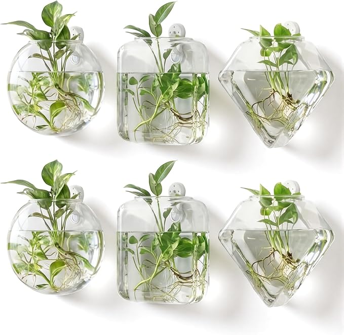 LemonRoad 6 Pcs Wall Hanging Glass Wall Hanging Planter Propagation Station Terrariums Clear Glass Vase Container for Hydroponic Plant Home Office Living Room Bathroom Garden Decor