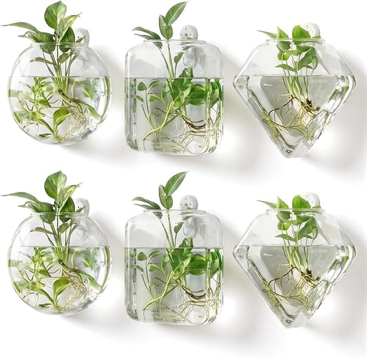 LemonRoad 6 Pcs Wall Hanging Glass Wall Hanging Planter Propagation Station Terrariums Clear Glass Vase Container for Hydroponic Plant Home Office Living Room Bathroom Garden Decor