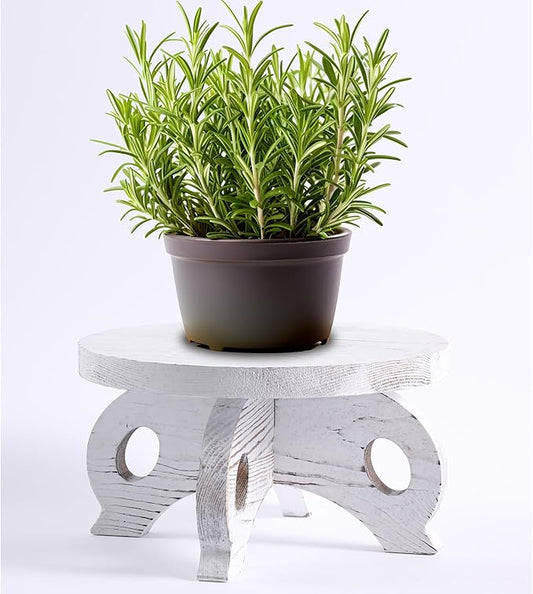 White Wooden Plant Stands Indoor Riser Round Display Stands Farmhouse Display Stool Flower Holder Pedestal Board Pine