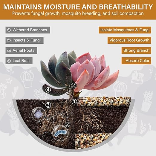 NUPICK 12lb River Rocks for Plants Indoor, 1/5 Inch Mixed Pebbles for Vase Fillers, Decorative Pea Gravel for Fish Tank, Natural Polished Stones for Succulent, Bonsai, Landscaping, Bird Baths