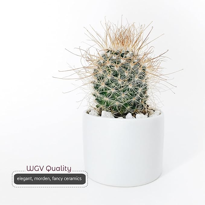 WGVI Matte White Ceramic Cylinder Vase Width 3.75" Height 4", Flower Arrangements, Candle Holder, Terrarium Planter Pot, Tabletop Storage Container Organizer Pen Brush Holder, Bulk Wholesale, 24 Pcs