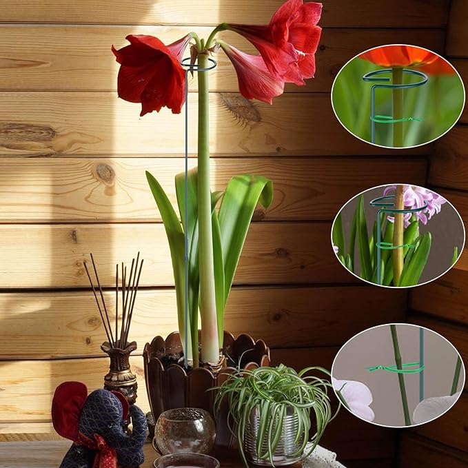 4 Pack Plant Support Stakes, 16/32 Inch Garden Stakes for Plants, Plant Accessories with 50 PCS Twist Ties for Indoor Outdoor Potted Tomato Vegetables Amaryllis Monstera Rose Peony Marigold