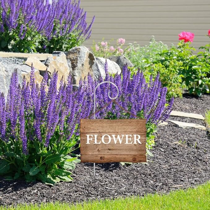 Kisangel Plant Label Hooks 20Pcs Garden Marker Stakes with Curled Tip Steel Sign Stakes for Outdoor Flower Pots and Planters