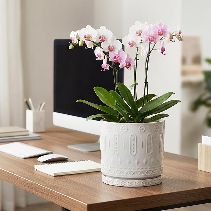 8 Inch Plant Pot, Ceramic Planter for Indoor Plants Outdoor, Round Planter with Drainage Hole and Tray, Boho Flower Pot, Decorative Pots for Plants, Home Decor, Plant Lover Gifts, White