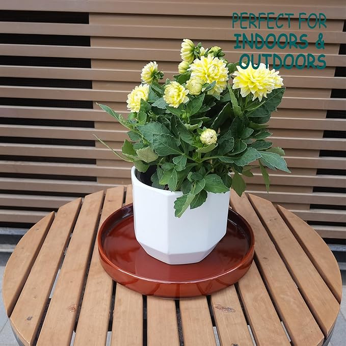 Ceramic Plant Saucer 10 Inch, Round Plant Trays for Indoors/Outdoors, Flower Pot Saucers for Holding Water Drips and Soil, Ceramic Drainage Tray for Plant Pot (Reactive Glaze Brown)