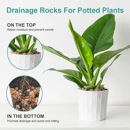 Calofulston 5lb Drainage Rocks for Potted Plants, 1/5 Inch Small Pebbles for Plants, Aquarium, Fish Tank, Terrarium, Succulent, Vases, Decorative Pea Gravel for Plants, Mixed Color