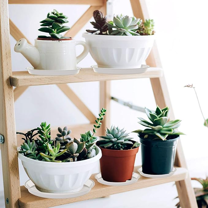 6 Pack of Plant Saucer 8 Inch, 8 inch Plant Saucer Round, Plastic Flower Plant Trays for Pots, Plant Saucers for Indoors 8", Plant Pot Saucers, Planter Tray for Planter 6-8" (8", White)