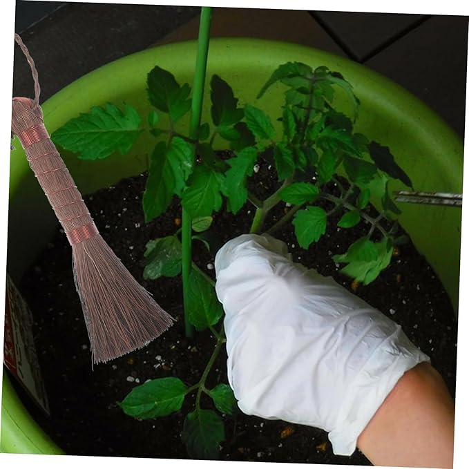 Didiseaon 3Pcs Palm Fiber Bonsai Brush for Flowerpot Cleaning Garden Washing Tool Durable Scratch Design Convenient Bonsai Care Accessories