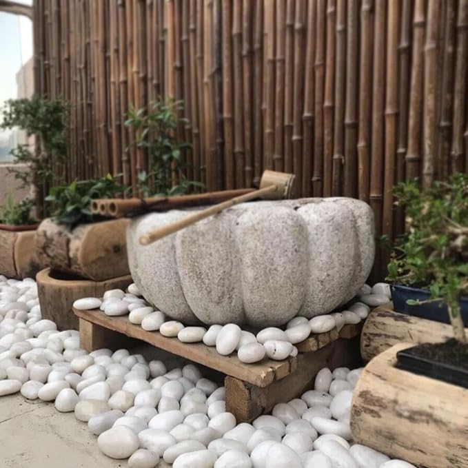 10LB White River Rocks - 2-3 inch High Polished Decorative Pebbles for Landscaping, Outdoor Decor and Plants