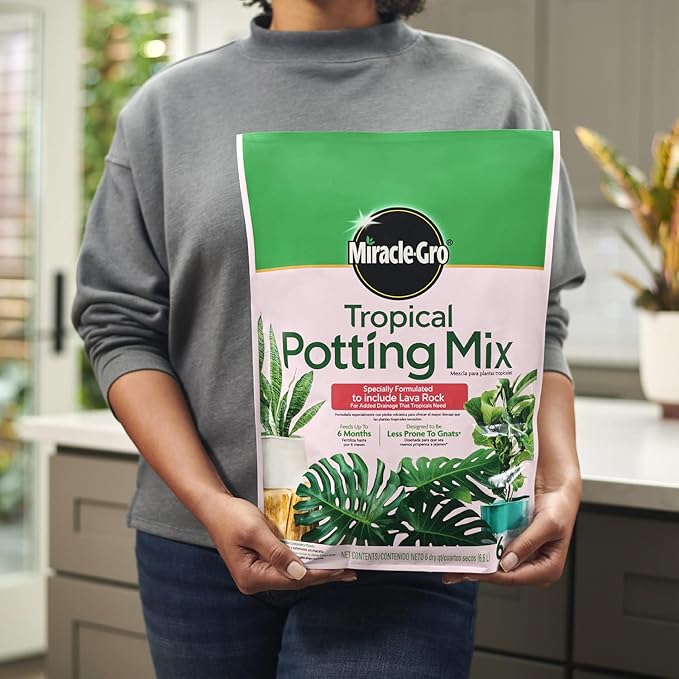 Miracle-Gro Tropical Potting Mix - Growing Media for Tropical Plants Living in Indoor and Outdoor Containers, 6 qt. (2-Pack)