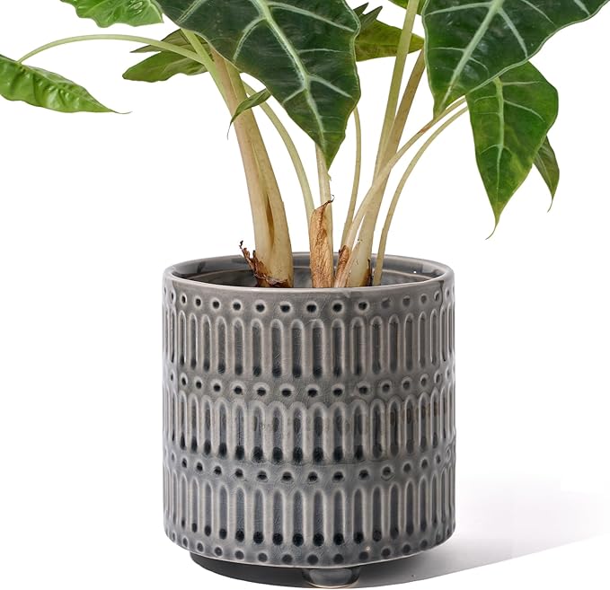 5 Inch Ceramic Planters for Indoor Plants, Gray Cactus Snake Plant Pots with Drainage, Unique Design Round Flower Pot for Home Decoration