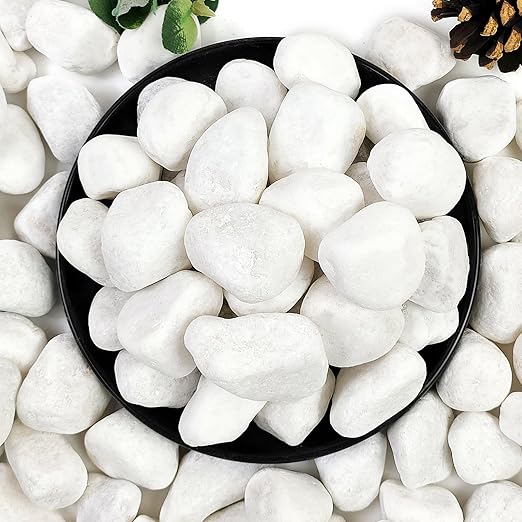 10lb White River Rocks, 1-2 Inch Natural Pebbles for Indoor Plants, Snow White Decorative Stones, Ideal for Fish Tank, Vases, Crafting, Home Decor and Garden Landscaping Rocks