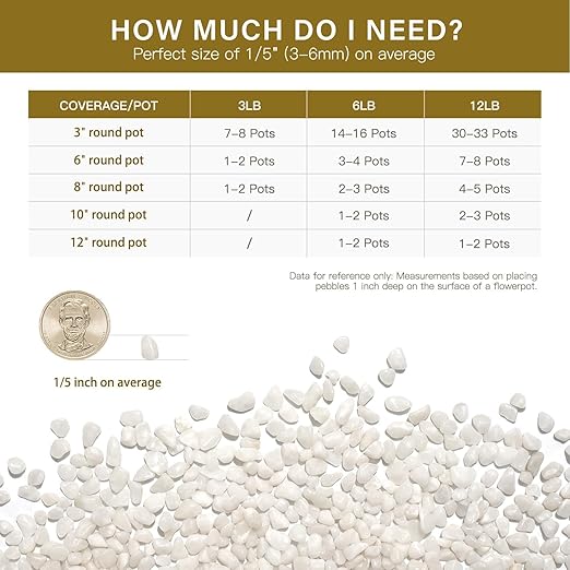 NUPICK 3 lbs Pebbles for Indoor Plants, 1/5 Inch Pea Gravel for Fish Tank, Polished Decorative Rocks for Succulent, Natural River Stones for Vases, Cactus, Landscaping, Bird Bath, Aquarium, White