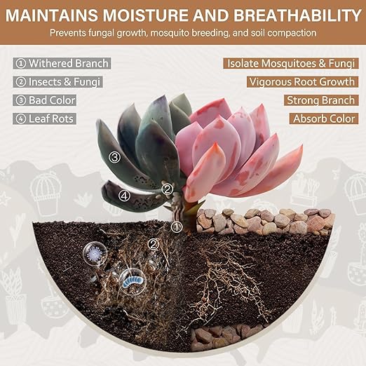 NUPICK 3 lbs Pebbles for Indoor Plants, 3/8 Inch Pea Gravel for Fish Tank, Decorative Rocks for Succulent, Natural River Stones for Vases, Cactus, Landscaping, Bird Bath, Aquarium, Peach