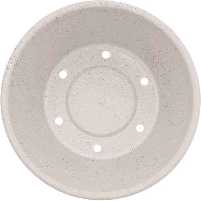 Bloem Terra 4" Diameter Round Vanilla Bean Resin Planter Pot with Pre-Drilled Drainage Holes for Indoor and Outdoor Gardening