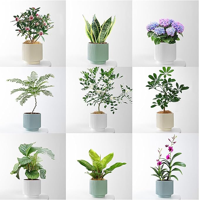 Ceramic 4.9+6.3 inch Planters, Modern Home and Office Flowerpot, Indoor and Outdoor Flowerpot with Drainage Hole (Grayish Blue)