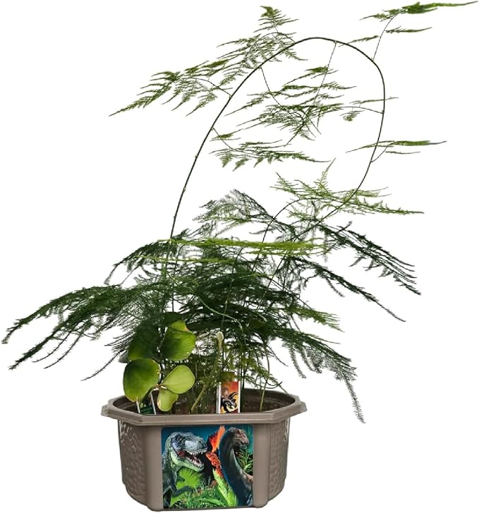 Toys by Nature Biosphere Terrarium Starter Kit, Complete Supplies Included to Grow Your Own Prehistoric Jurassic Park (Dinosaur Domain)
