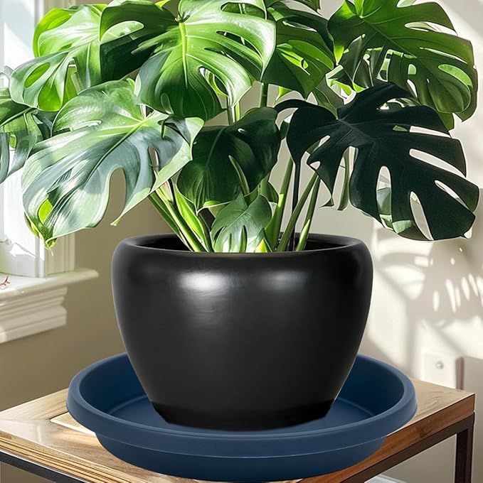Plant Saucer 12 Inch Round Pack of 2 Heavy Duty Plastic Reusable Drip Trays for Flower Pots