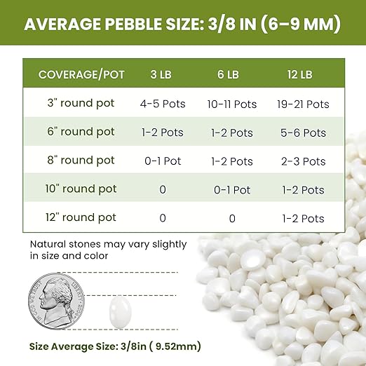 3/8 Inch Polished Decorative Pebbles, River Rocks for Indoor Plants, Planters, Vases, Aquarium Gravel & Landscaping, White, 12LB