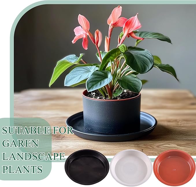 30 Pack Plant Saucer 4 Inches Plant Trays for Pots Plastic Round Drip Trays Flower Pot Saucers Black Planter Water Tray Plant Drainage Tray, Black