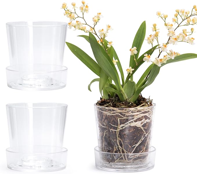 Phoenix Vine 3.5 Inch Clear Acrylic Planter Pot with Tray, Orchid Pot with Drainage Holes, Deep Saucer for Bottom Watering, Transparent Containers for Indoor Plants, Herbs, Set of 3, 91-A-D-3