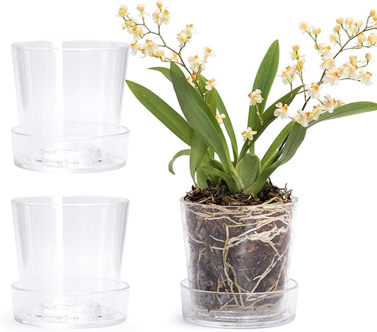 Phoenix Vine 3.5 Inch Clear Acrylic Planter Pot with Tray, Orchid Pot with Drainage Holes, Deep Saucer for Bottom Watering, Transparent Containers for Indoor Plants, Herbs, Set of 3, 91-A-D-3