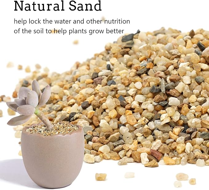 5 lb Coarse Sand Stone - Succulents and Cactus Bonsai DIY Projects Rocks, Decorative Gravel for Plants and Vases Fillers，Terrarium, Fairy Gardening, Natural Stone Top Dressing for Potted Plants.