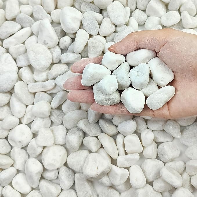 20 lbs White River Rocks for Landscaping, 0.5-1 Inch Pebbles for Indoor Plants, Decorative Stones for Succulent, Cactus, Vases, Aquariums, Crafting and Garden