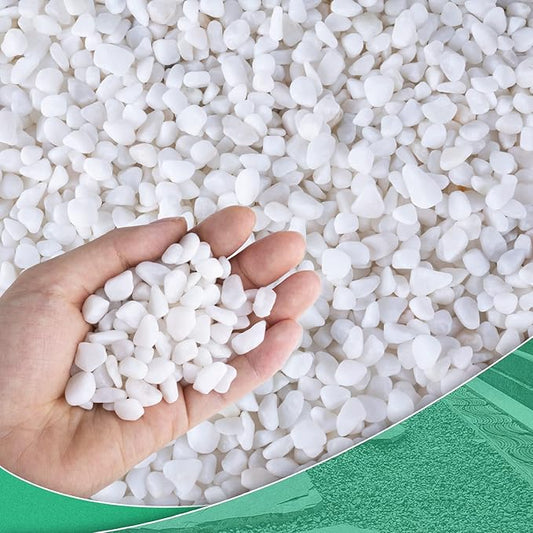 Succulent Rocks for Plants Tiny Pebbles for Planters 7.8LB Pea Gravel Bulk Course Sand Soil Small Decorative Stones for Indoor Bonsai Pots Cactus Top Dressing Aquarium Garden Landscape, White