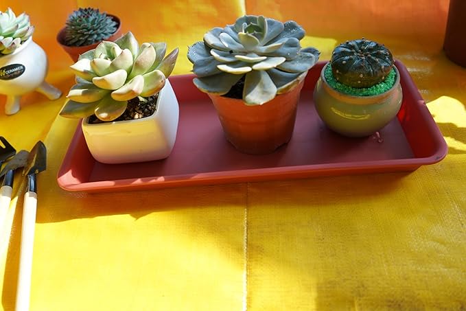 6 Pack Rectangular Plant Tray Saucer, 14 inch, Terracotta, Plastic, Drainage, Indoor/Outdoor, Windowsill, 100lbs Capacity