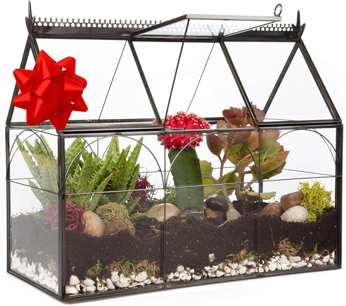 D'Eco Glass Greenhouse Centerpiece (10x4.5x9) - Valentine's Day Home Decor - Tabletop Geometric Planter Terrarium - Fill with Succulents, Moss, Roses, Chocolates - Valentines Gift for Plant Lovers
