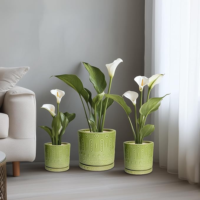 Ceramic Pots for Plants, 8 Inch Plant Pot with Drainage Hole and Tray, Round Planters for Indoor Plants, Modern Flower Pot, Decorative Planter, Living Room Decor, Gardening Gifts, Green