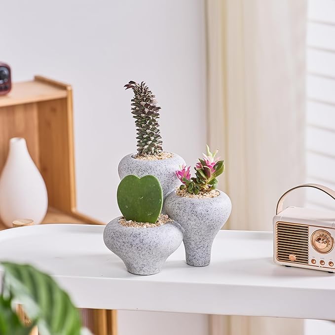 Gray Granite Textures 3-in-1 Small Succulent Pots, Mini Indoor Succulent Planters, Cute Cactus Bonsai Flowers Pots for Plants, Garden Mini Cactus Plant Pot Modern Decorative, Gift, Breathable Planter