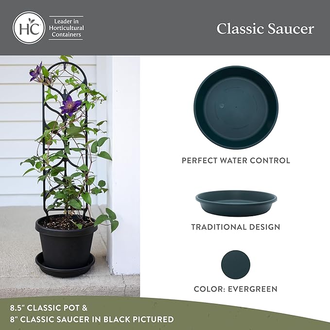 The HC Companies 8 Inch Classic Round Plant Saucer, Lightweight UV-Resistant Plastic Outdoor & Indoor Flower Pot Tray, 4-Pack Plant Pot Trays for Garden & Home Decor, Evergreen