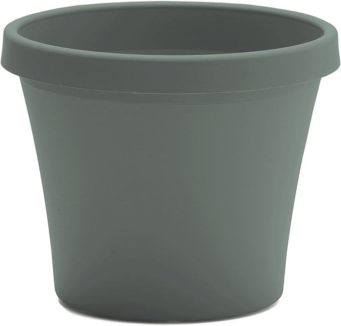 Bloem Terra 8" Diameter Round Basil Resin Planter Pot with Drainage Holes for Indoor and Outdoor Gardening