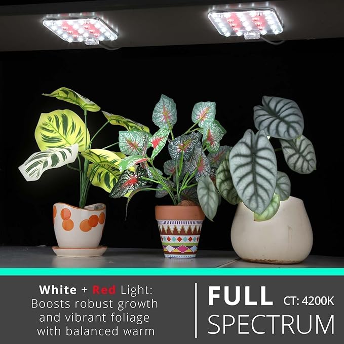 DOMMIA Full Spectrum LED Grow Light for Indoor Plants, 2 Panels 10W with 6/12/16h Timer Dimmable Plant Lights for Flower Veg Plant Growth USB, Netural White, 1-Pack
