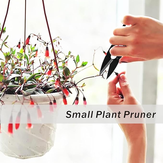 JINJIAN Bonsai Pruning Scissors 12PCS - Small Pruning Shears Bud Leaves Trimmer Garden Shears for Plants, Gardening Clippers for Flower Bonsai Trimming Pruners