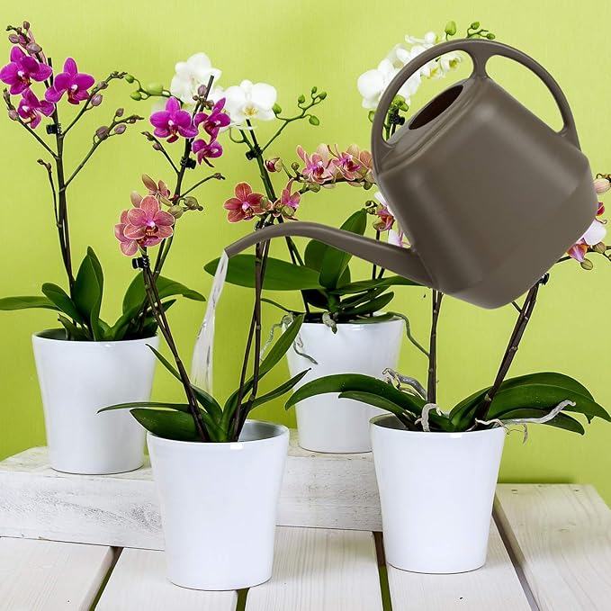 Fasmov Plastic Watering Can, 1-Gallon, Deep Gray