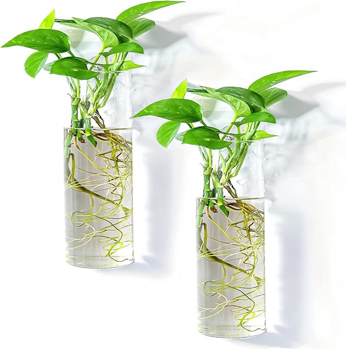 2 Pack Wall Hanging Planters Glass Terrariums - Cylindrical Plants Holders Air Plants Succulents Planters Flowers Glass Wall Vase Containers for Decor Indoor Garden