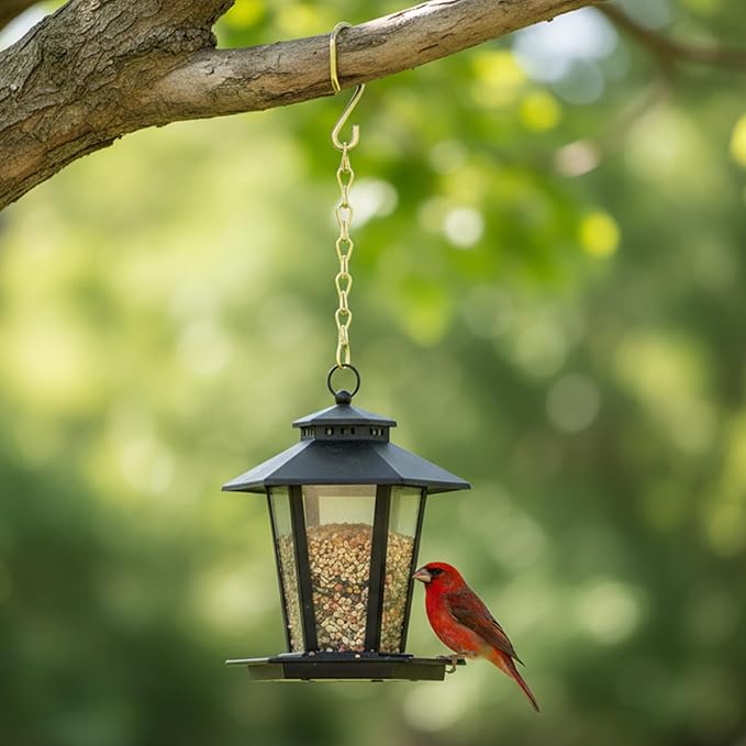 EBOOT 2 Pcs Hanging Chain for Bird Feeders, Planters, Lanterns and Ornaments(9.5 Inch,Gold)