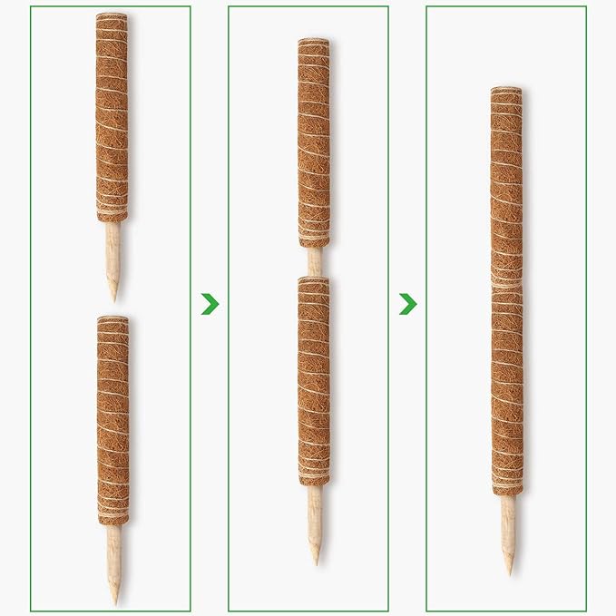 Moss Pole, Augshy 48 Inch Moss Poles - 4Pcs 12 Inch Coir Totem Poles Moss Climbing Sticks for Indoor Creepers Plant Support Extension