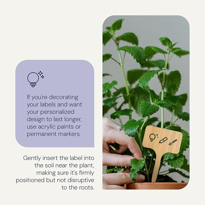 Bamboo Plant Labels, Eco-Friendly Garden Tags | 7" Long T-Type Wooden Garden Markers | 100% Natural, Biodegradable | for Labeling Herbs, Seedlings, Vegetables, Cheeses, Appetizers, Desserts | 50 pcs