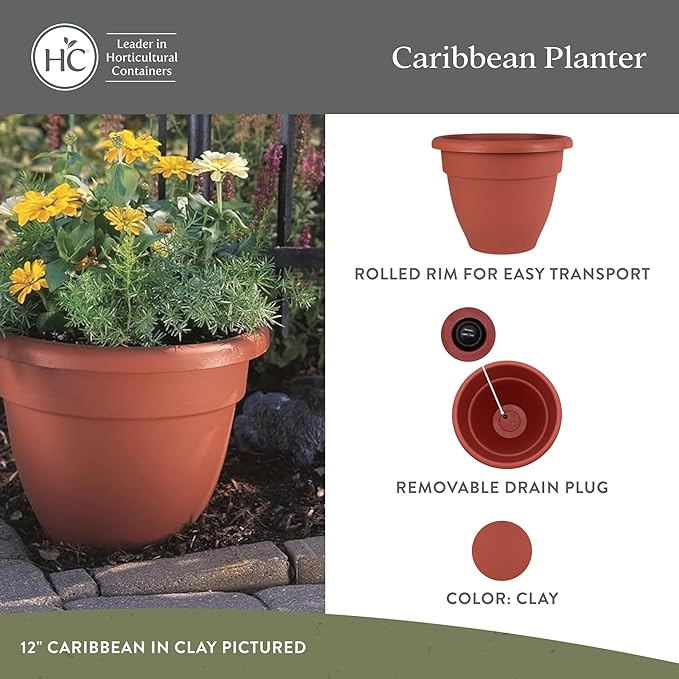 The HC Companies 12 Inch Caribbean Planter Pots with Drainage & Plug, Rolled Rim Plastic Planters for Indoor & Outdoor Plants, 2-Pack Decorative Flower Pots for Garden, Office & Home Decor, Clay
