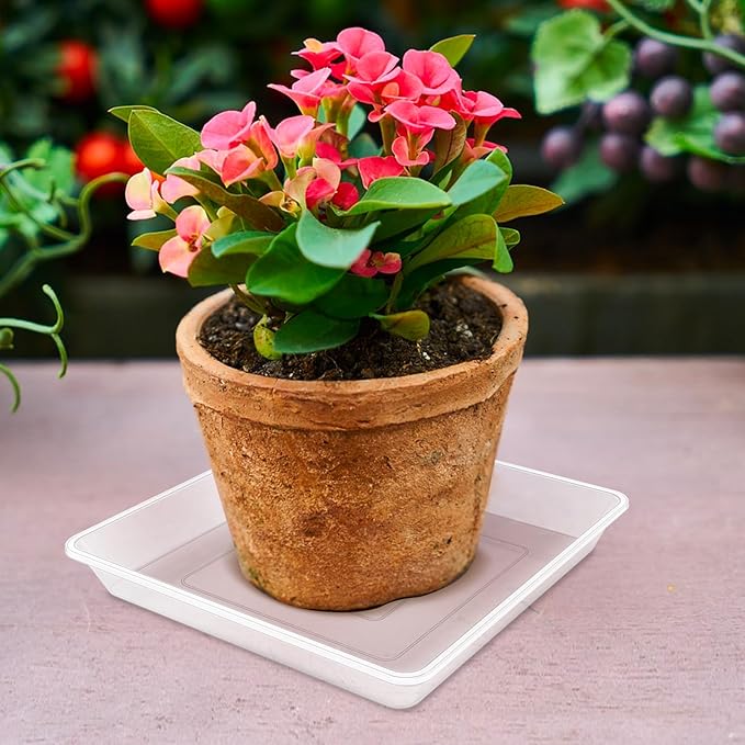 16 Inch Square Clear Plant Saucer, 6 Pack Durable Thick Plant Pot Dish for Flower Pot, Plastic Plant Tray to Catch Water for Indoor Outdoor