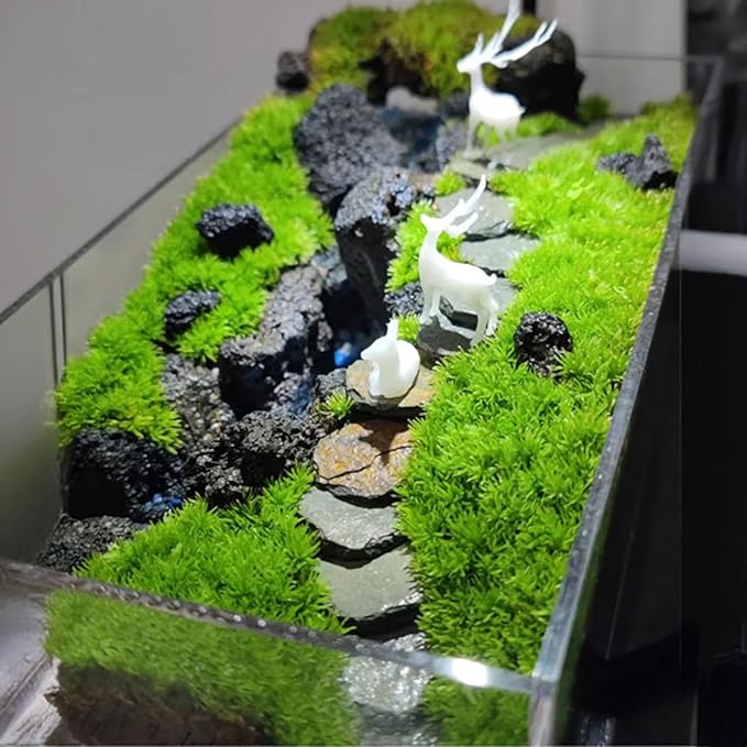 10Pcs Natural Miniature Small Stepping Stone Figure.Fairy Garden Supplies.Terrarium Accessories.Pathway Stones.Stairs.Shrimp Tank Decor.Bonsai Forest/Patio Pots Decoration.