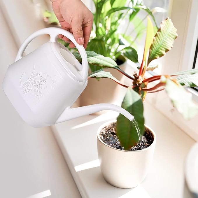 Plastic Watering Can - for Indoor and Outdoor Plant - 1/2 Gallon - White