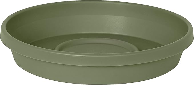 Bloem Terra Plant Saucer Tray for Planters 9-12" Living Green